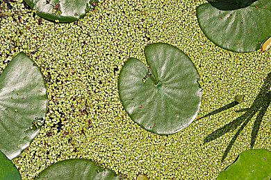 《终结者2D：NO FATE》预告 迟到了三十多年的游戏